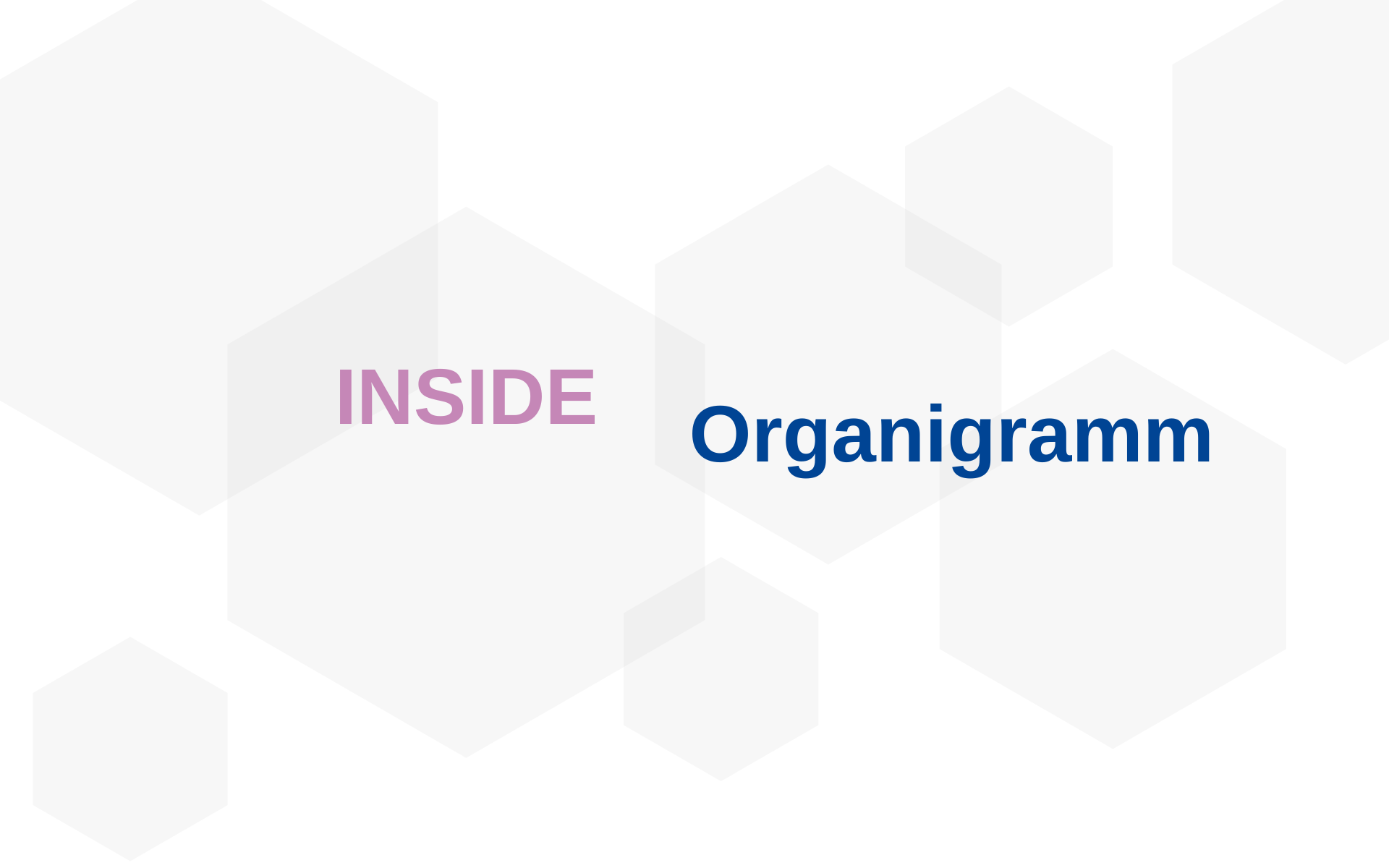 Organigramm